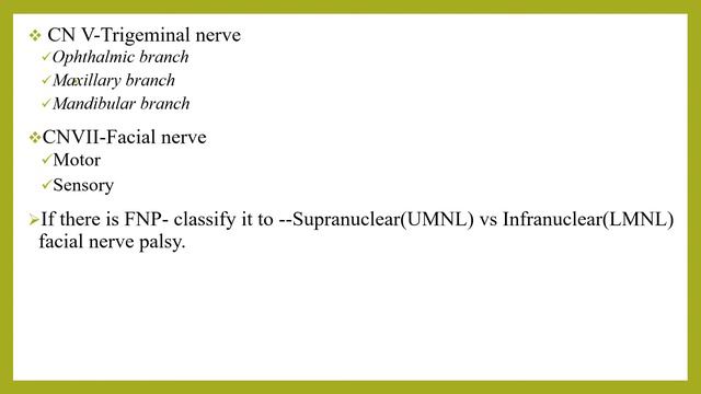 PEDIATRIC PHYSICAL EXAMINATION - PART VII