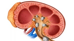 РУККОЛА. ? Польза и вред рукколы для здоровья ❤️
