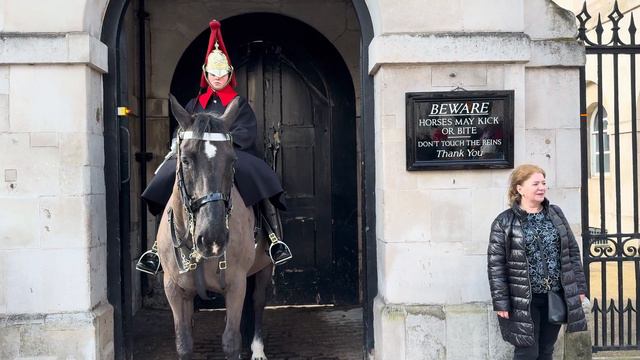 "Close Call with Disaster: Parenting Fails - Leaving Kids Under the Regal Giant Horse!" смотреть онлайн