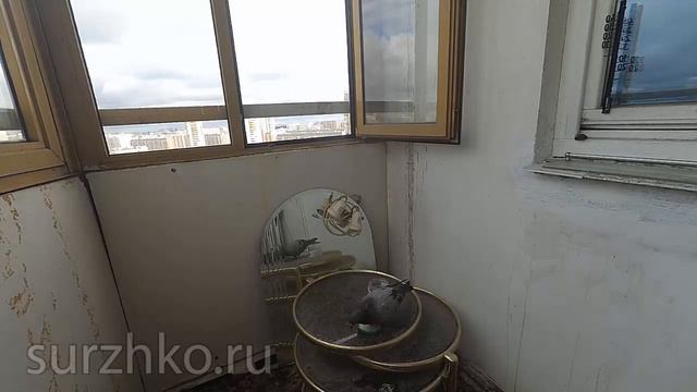 Сегодня 17 07 2020г один голубь смотреть онлайн