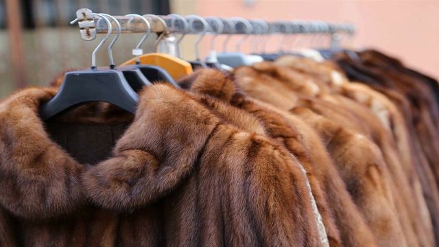 Как выбрать норковую шубу и определить качество меха правильно советы профессионалов смотреть онлайн