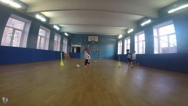 Тренировка группы начальной подготовки ФК ПЛАТИНУМ 2016-2017 г.р. смотреть онлайн