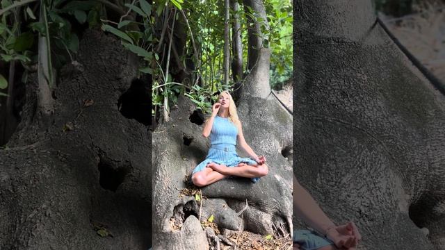 Просветление каждой клетки через звук смотреть онлайн