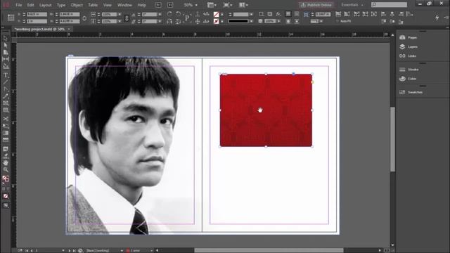 InDesign STEP 4a Working with Images and Graphics смотреть онлайн