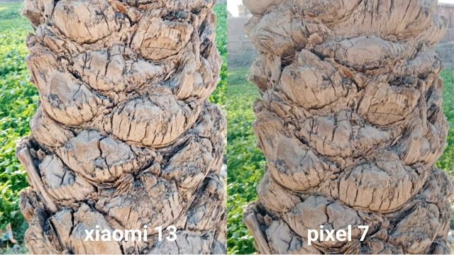 xiaomi 13 vs google pixel 7 camera test смотреть онлайн