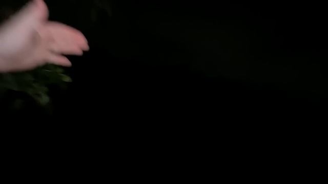 I Hunted Grimace In Real Life смотреть онлайн