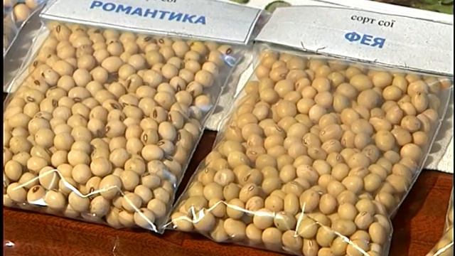 Соя смотреть онлайн