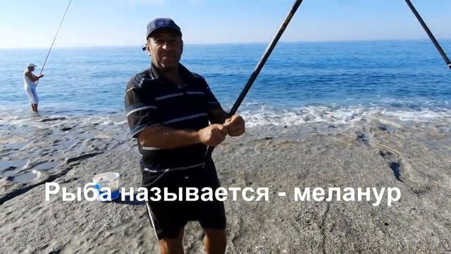 Я Управдомша | Новые Ворота | Рыбалка в Средиземном Море смотреть онлайн