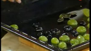 Барышня и Кулинар - Выпуск 55