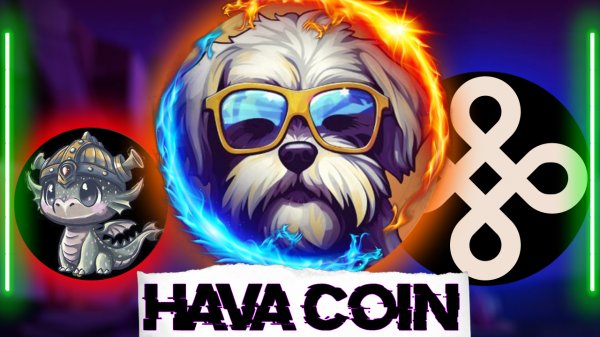 Запуск HAVAcoin | Первый мем-коин DYM | Doki жгёт и другие Новости для Стейкеров COSMOS и Dymension