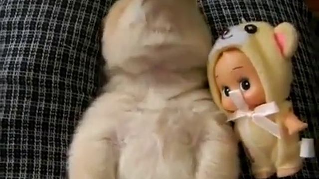 Приколы с животными Щенок разговаривает во сне смотреть онлайн