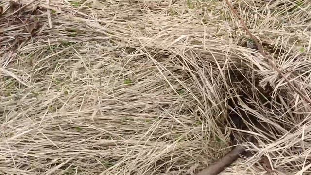 Приехали на старые места. Коп Металлолома!! смотреть онлайн