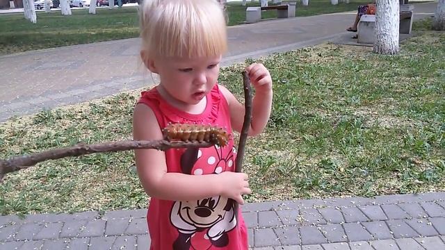 Армавир. Мама и #суперМаргарита нашли большую гусеницу!