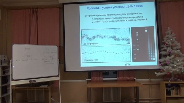 Биологическая спираль. Молекулярная Биология. Миропольская Наталия. семинар 6 смотреть онлайн