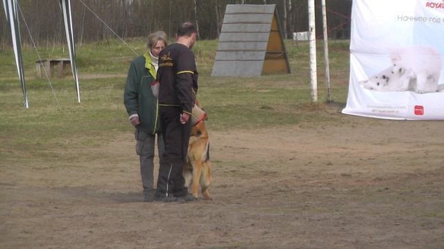 Чемпионат Тверской области (CACT) 2014 г. по ОКД и ЗКС смотреть онлайн