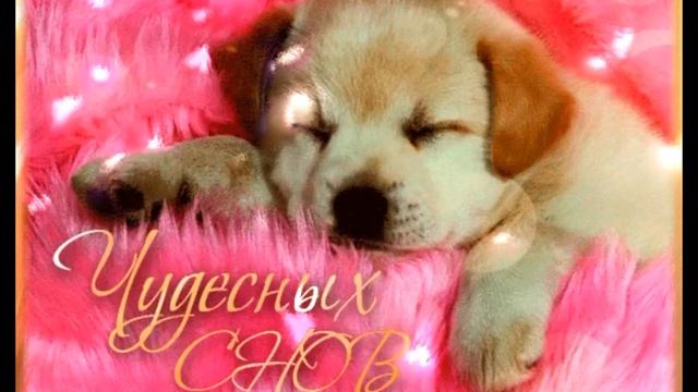 Спокойной ночи,сладких снов... смотреть онлайн