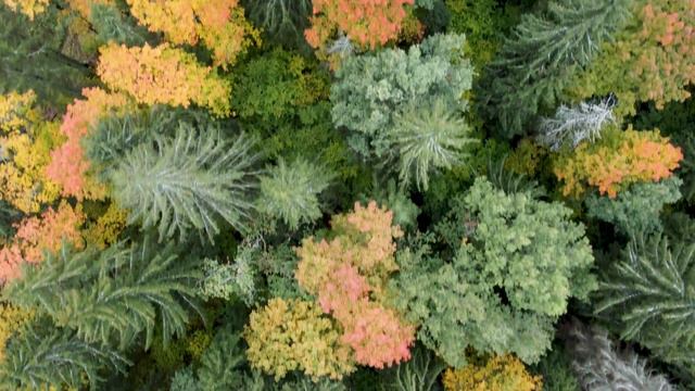 RuzskiyAlexino смотреть онлайн