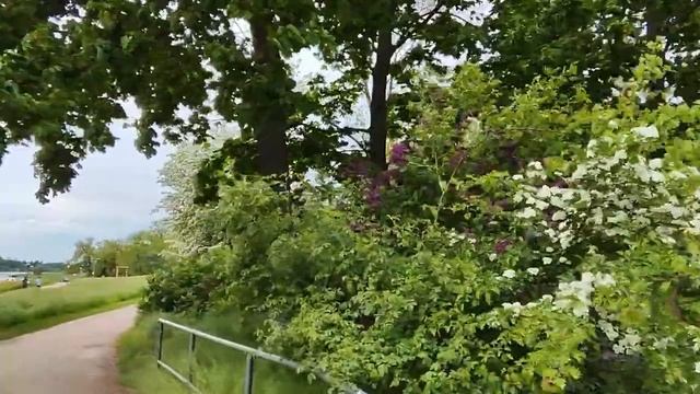 Зашла в магазин керамической посуды . Байдарки и водные мотоциклы на Эльбе. смотреть онлайн