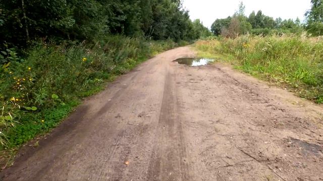 Покатушка до усадьбы Шахматово А.А.Блока. 1 часть.15 августа 2020 года. смотреть онлайн