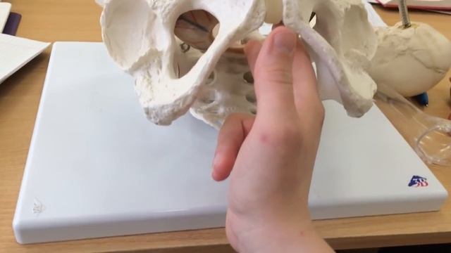 Влагалищное исследование у роженицы смотреть онлайн