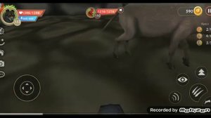 Новый МИФ в Вилд крафт?!Tirr666?Смотреть всем!