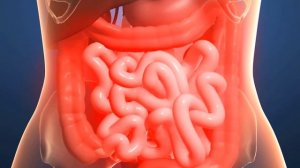 КРОВЬ В КАЛЕ | Почему кал бывает с кровью и что с этим делать