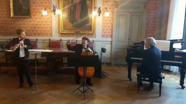 Gaetano DONIZETTI - Sonata - Trio Sonart смотреть онлайн