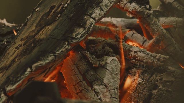 Forest & bonfire sounds for meditation, study, and Relax. Звуки природы и костра для медитации. смотреть онлайн