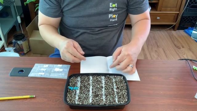 Seeds | How to Plant Pinguicula Seeds | Sowing Pinguicula a.k.a Butterwort Seeds 2nd try смотреть онлайн