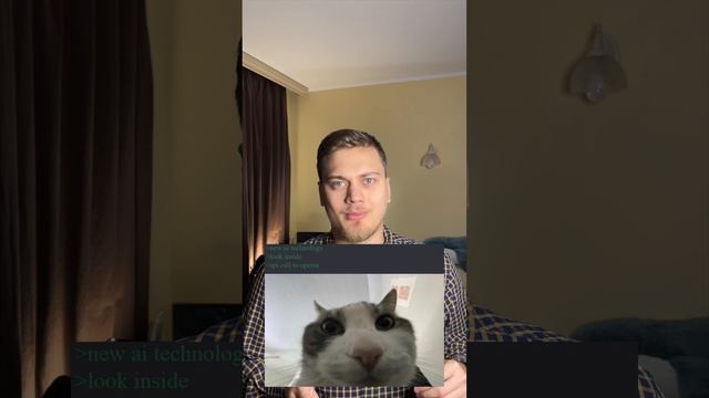 Ещё один AI стартап, а что смешного? №8 #IT #humor смотреть онлайн