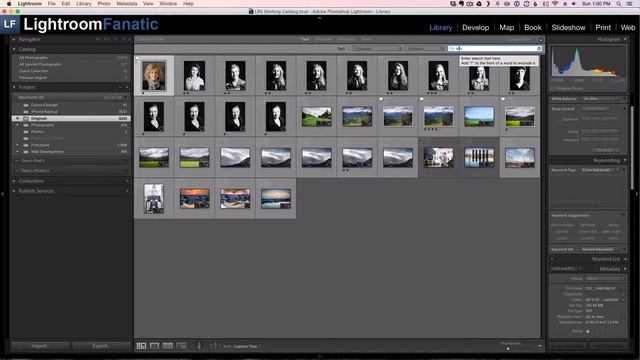 Find Your TIFF and PSD Images In Adobe Lightroom смотреть онлайн