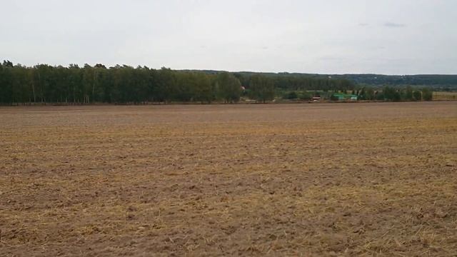 Наше новое поле для посева чеснока площадью 30 га. смотреть онлайн