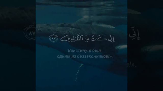 Сура 21 Аль-Анбийа(Пророки) Аяты 87-88, чтец Ислам Субхи смотреть онлайн