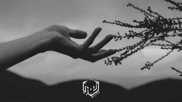 7 ночей. 2022 смотреть онлайн