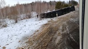 ДОБРОВОЗ 20 ноября 2023 г.