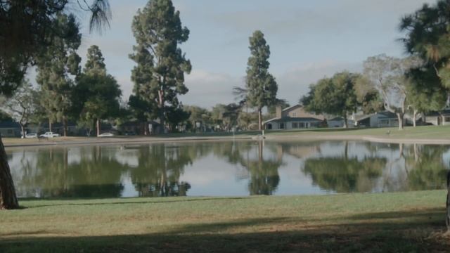 Can you trust the Nike Pegasus 39? смотреть онлайн