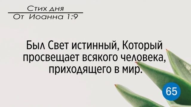 Тефиллин. От Иоанна 1:9. Повторение стихов 100 раз смотреть онлайн