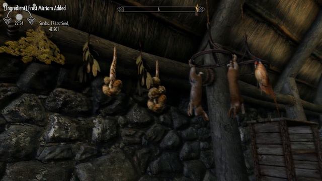 Skyrim Special Edition #2 - The Friendship of Strangers смотреть онлайн