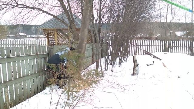 Пилим дерево с помощью геометрии и сопромата))) 17.03.18 смотреть онлайн
