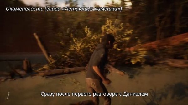 Life is Strange 2. Эпизод 3 - Все коллекционные предметы