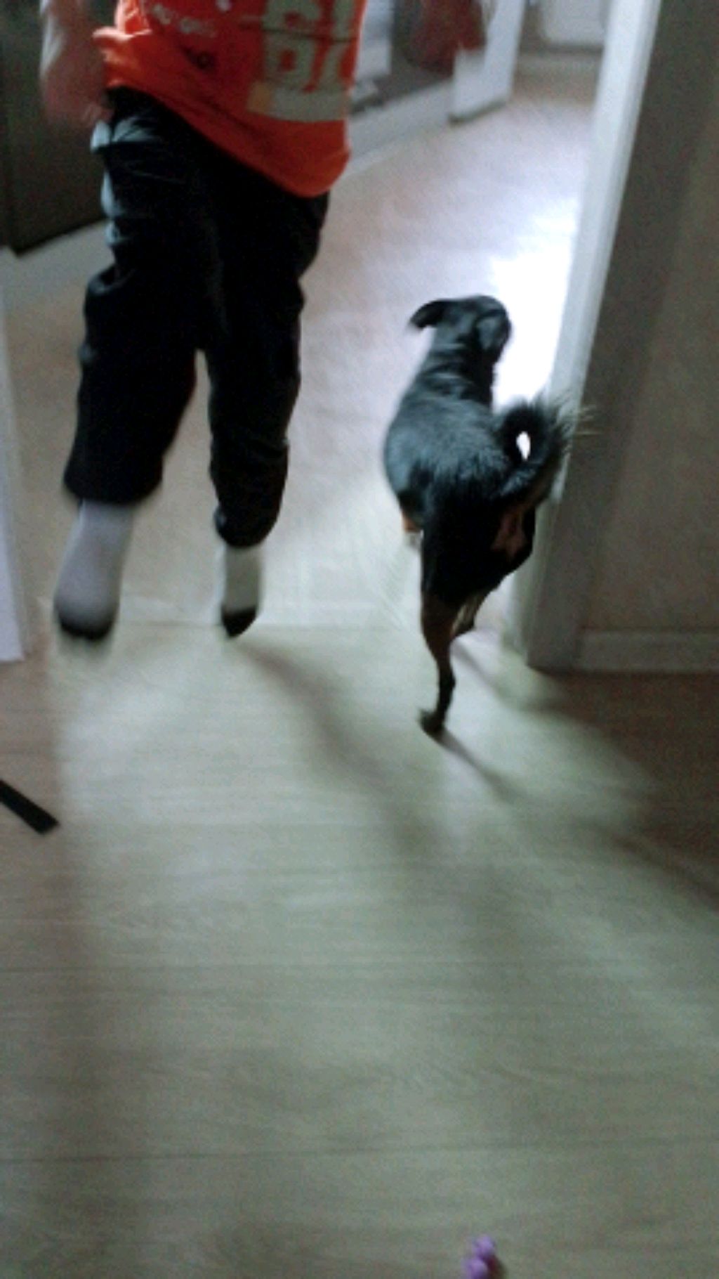 туалеты смотреть онлайн