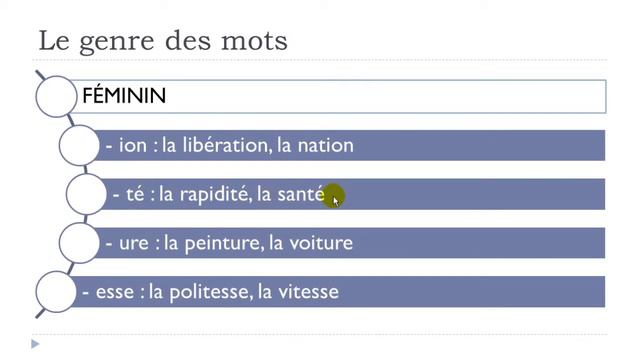 Learn French Grammar  I  Le Genre Des Mots