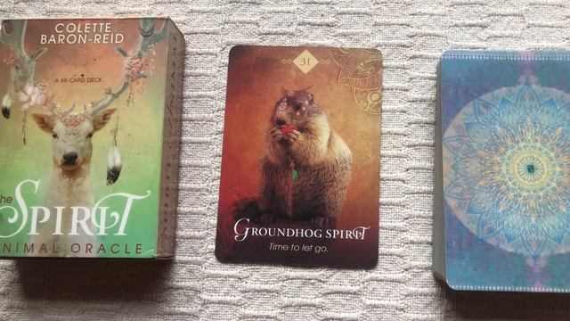 The Spirit Animal Oracle 31/68 Groundhog Spirit guide book audio description смотреть онлайн