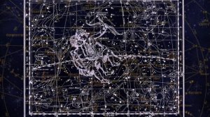 Близнецы в год Змеи - характер