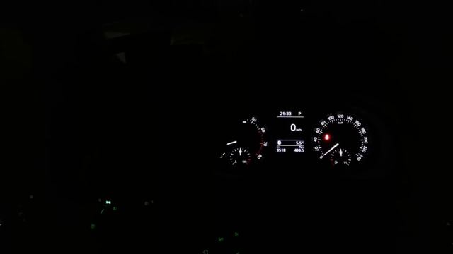 Реле автоматического включения света в Skoda Rapid (ночь) смотреть онлайн