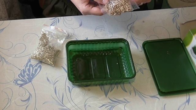 трава для кошек