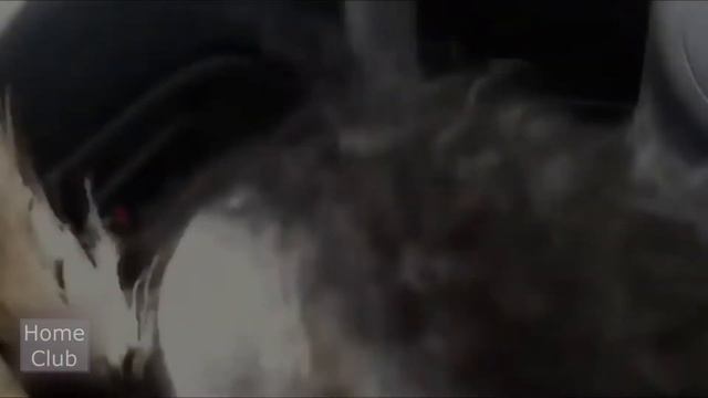 смешные видео, животные атакуют человека смотреть онлайн