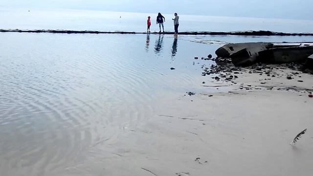 Таганрог. Интересные моменты. Природа и люди. смотреть онлайн