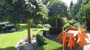 Красивые приусадебные участки. Идеи дизайна