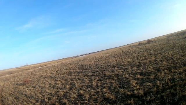 Весенняя охота на гуся 2021. Пандемия продолжается. смотреть онлайн